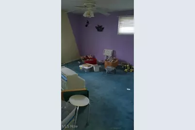 815 E 272nd Street, Euclid, OH 44132 - Photo 48