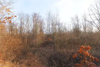 1100 Lantz Avenue, Mansfield, OH 44906 - Photo 6