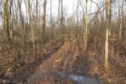 1100 Lantz Avenue, Mansfield, OH 44906 - Photo 10