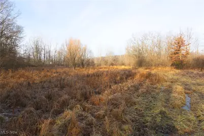 1100 Lantz Avenue, Mansfield, OH 44906 - Photo 14