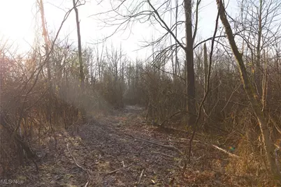 1100 Lantz Avenue, Mansfield, OH 44906 - Photo 8