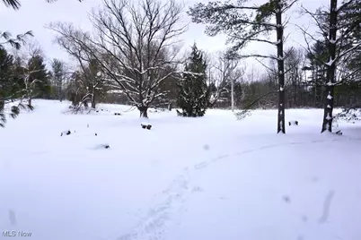 14543 Ensign Road, Burton, OH 44021 - Photo 28