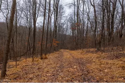 16967 Township Road 63A, Conesville, OH 43811 - Photo 30