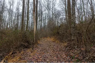 16967 Township Road 63A, Conesville, OH 43811 - Photo 32