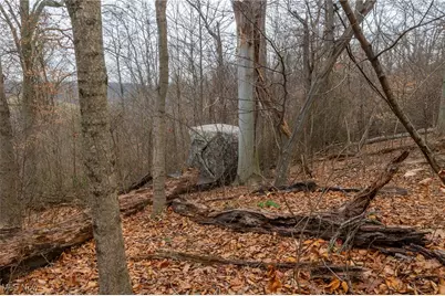 16967 Township Road 63A, Conesville, OH 43811 - Photo 24