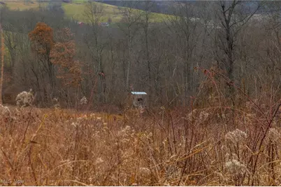 16967 Township Road 63A, Conesville, OH 43811 - Photo 36