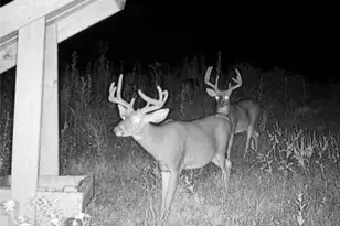 60883 US-36, Newcomerstown, OH 43832 - Photo 26