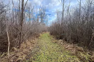 Boston Rd, Hinckley, OH 44233 - Photo 24