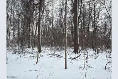 St Rt. 82, Columbia Station, OH 44028 - Photo 46