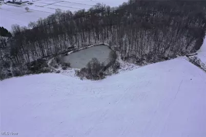 St Rt. 82, Columbia Station, OH 44028 - Photo 14