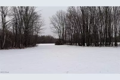 St Rt. 82, Columbia Station, OH 44028 - Photo 26