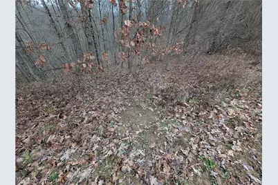 Brown Peavine Road, Alledonia, OH 43902 - Photo 18