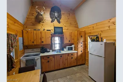 Brown Peavine Road, Alledonia, OH 43902 - Photo 2