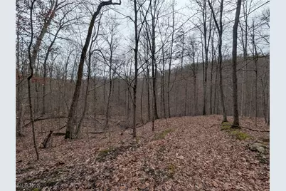 Brown Peavine Road, Alledonia, OH 43902 - Photo 32