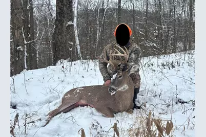 Brown Peavine Road, Alledonia, OH 43902 - Photo 46