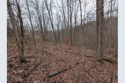 Brown Peavine Road, Alledonia, OH 43902 - Photo 20