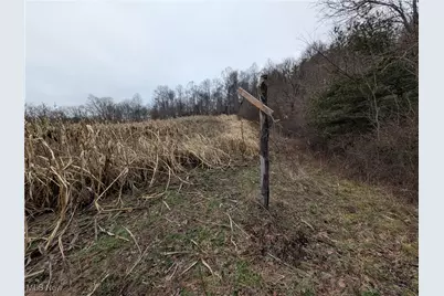Brown Peavine Road, Alledonia, OH 43902 - Photo 30