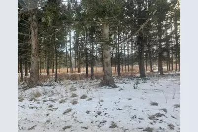 246 Ridgewood Road, Medina, OH 44256 - Photo 2