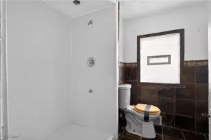 14613 Westropp Ave, Loveland, OH 44110 - Photo 20