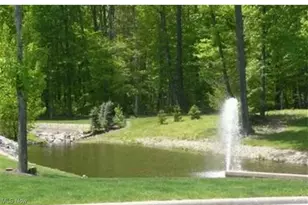 3277 Linden Pl, Canfield, OH 44406 - Photo 50