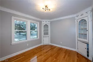 14102 Christine Ave, Loveland, OH 44105 - Photo 12