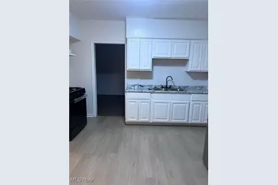 13916 Durkee Avenue, Loveland, OH 44105 - Photo 2