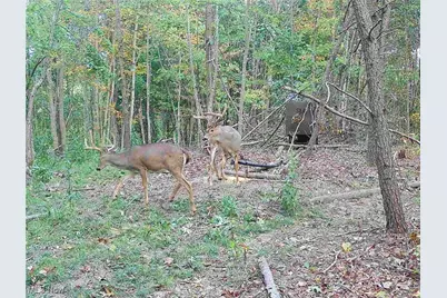 Edendale Road, Portsmouth, OH 45662 - Photo 12