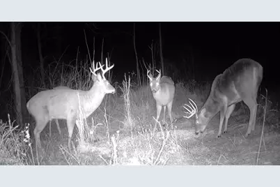 State Route 377, Malta, OH 43758 - Photo 6