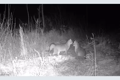 State Route 377, Malta, OH 43758 - Photo 8