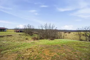 1635 Irish Ridge Rd, Philo, OH 43771 - Photo 38