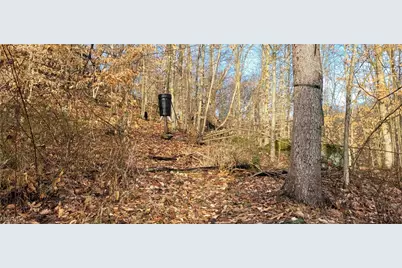 Township Rd 399, Coshocton, OH 43812 - Photo 8