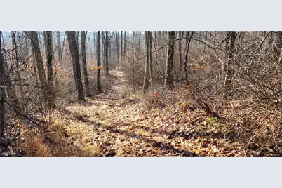 Township Rd 399, Coshocton, OH 43812 - Photo 32