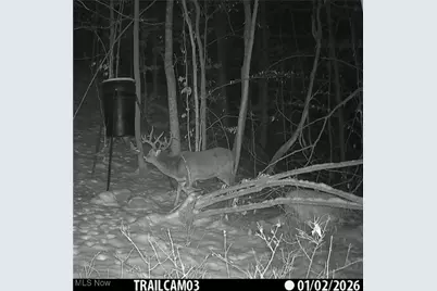 Township Rd 399, Coshocton, OH 43812 - Photo 48