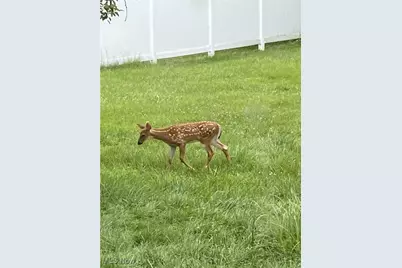 210 Highland Drive, Medina, OH 44256 - Photo 10