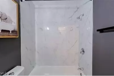 2441 Malden Road, Loveland, OH 44121 - Photo 20