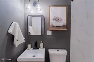 2441 Malden Rd, Loveland, OH 44121 - Photo 18