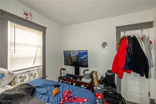 13509 Svec Ave, Loveland, OH 44120 - Photo 48
