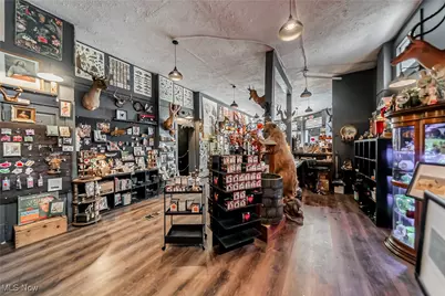 13375 Madison Avenue, Loveland, OH 44107 - Photo 12