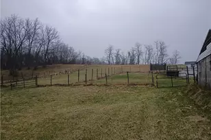 608 Township Rd 15, Rayland, OH 43943 - Photo 40