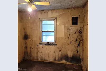 5820 Ash Street, Chippewa Lake, OH 44215 - Photo 12