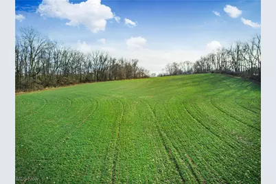 Carnation Road, Nashport, OH 43830 - Photo 10