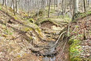 2641 Morganstern Ln, Beverly, OH 45715 - Photo 44