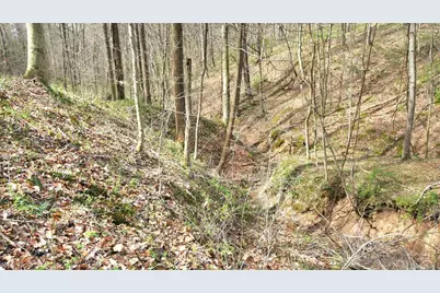 2641 Morganstern Lane, Beverly, OH 45715 - Photo 40