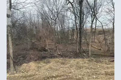 S/L 25 Devon Path, Medina, OH 44256 - Photo 10