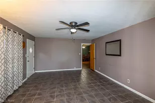 490 Mapleview Dr, Green Hills, OH 44131 - Photo 16
