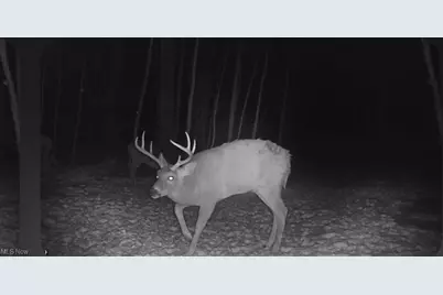 6199 Vandemark Road, Medina, OH 44256 - Photo 50