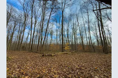 0 Long Fork Road, Piketon, OH 45661 - Photo 24