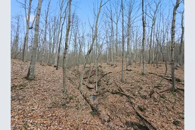 0 Township Rd 318, Corning, OH 43730 - Photo 16