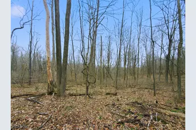 0 Township Rd 318, Corning, OH 43730 - Photo 12