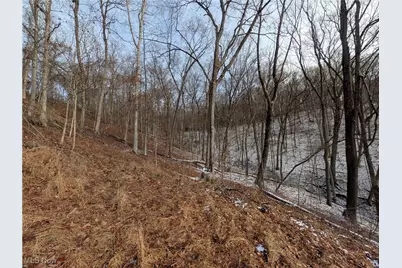 1054 Bergholz Road SE, Mechanicstown, OH 43908 - Photo 22